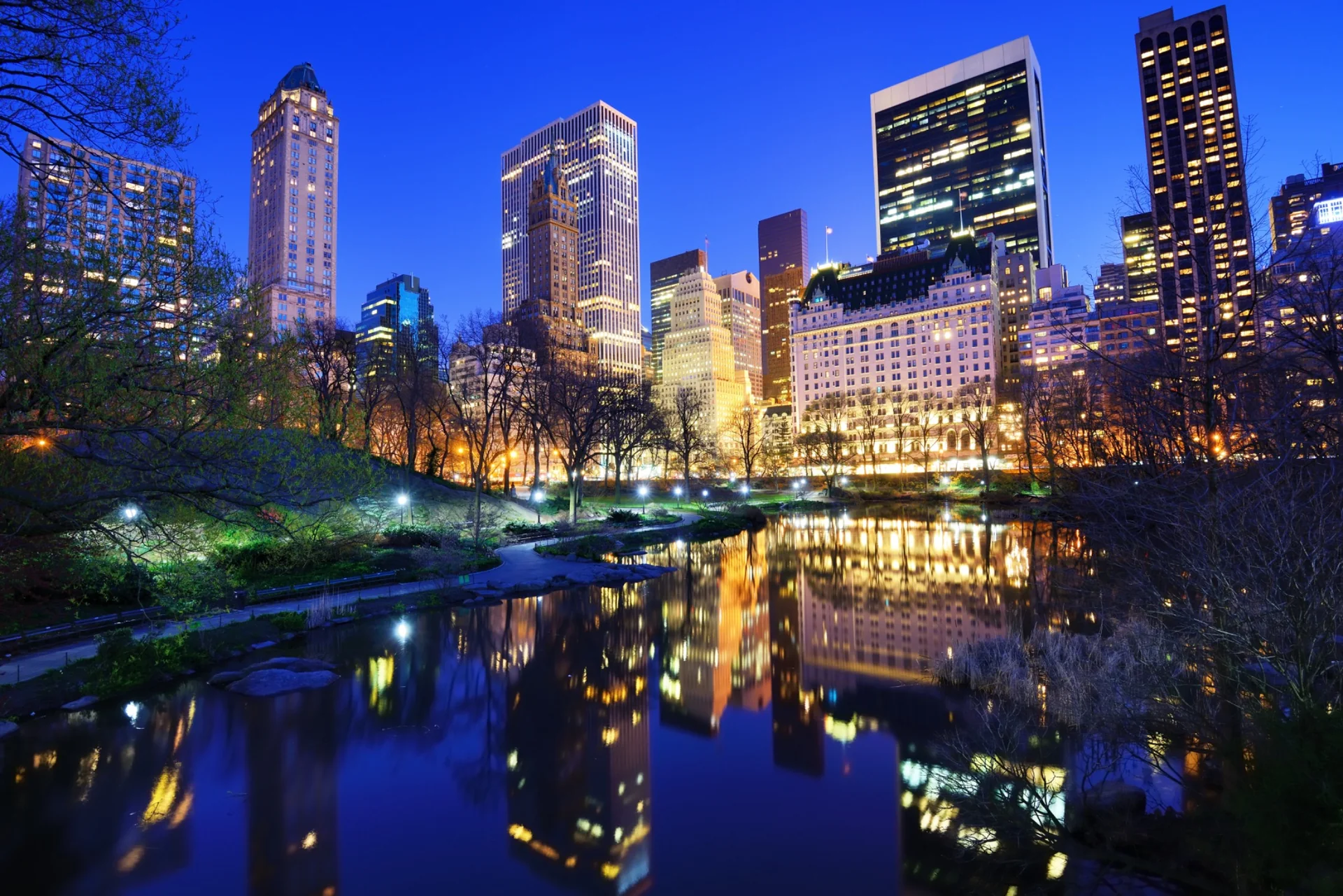 New York skyline and Central Park at night