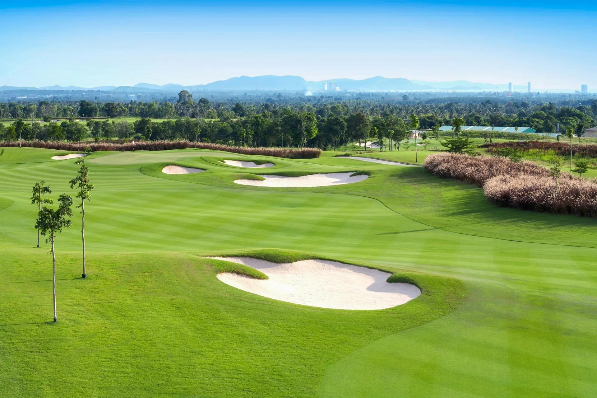 Low-density golf resort landscape